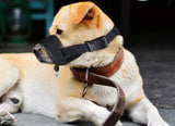 WagYard Nylon Muzzle for Aggressive Dogs WagYard