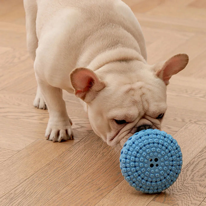 WagYard Tooth-Cleaning Rubber Dog Toy WagYard