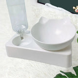 WagYard Automatic Pet Feeder with Water Dispenser and Food Container WagYard