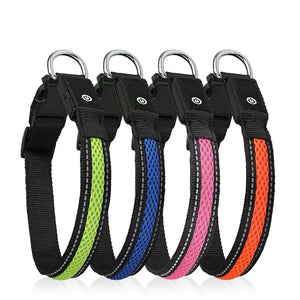 WagYard LED Luminous Pet Collar WagYard